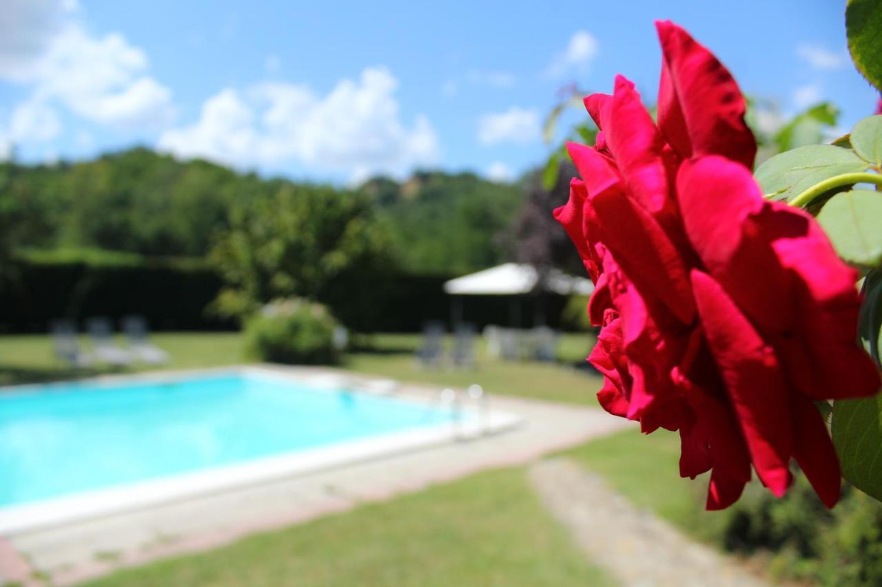 Il Casolare Bed & Breakfast Penna Eksteriør bilde