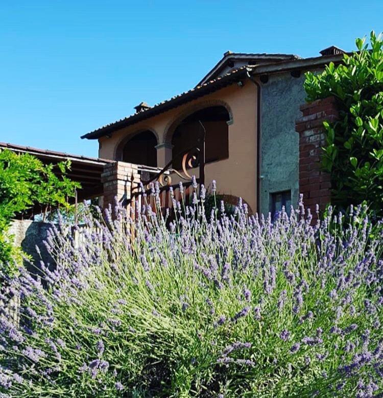 Il Casolare Bed & Breakfast Penna Eksteriør bilde