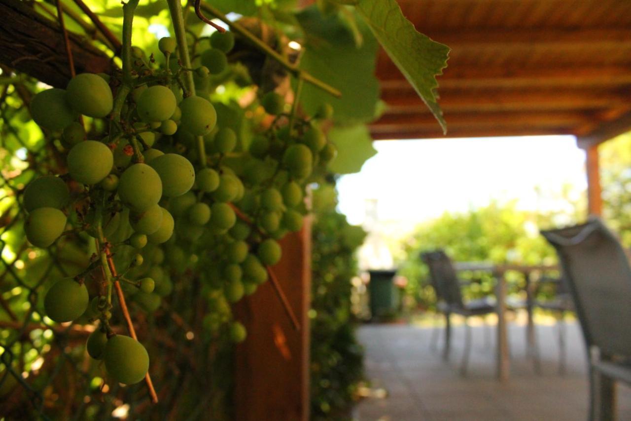 Il Casolare Bed & Breakfast Penna Eksteriør bilde