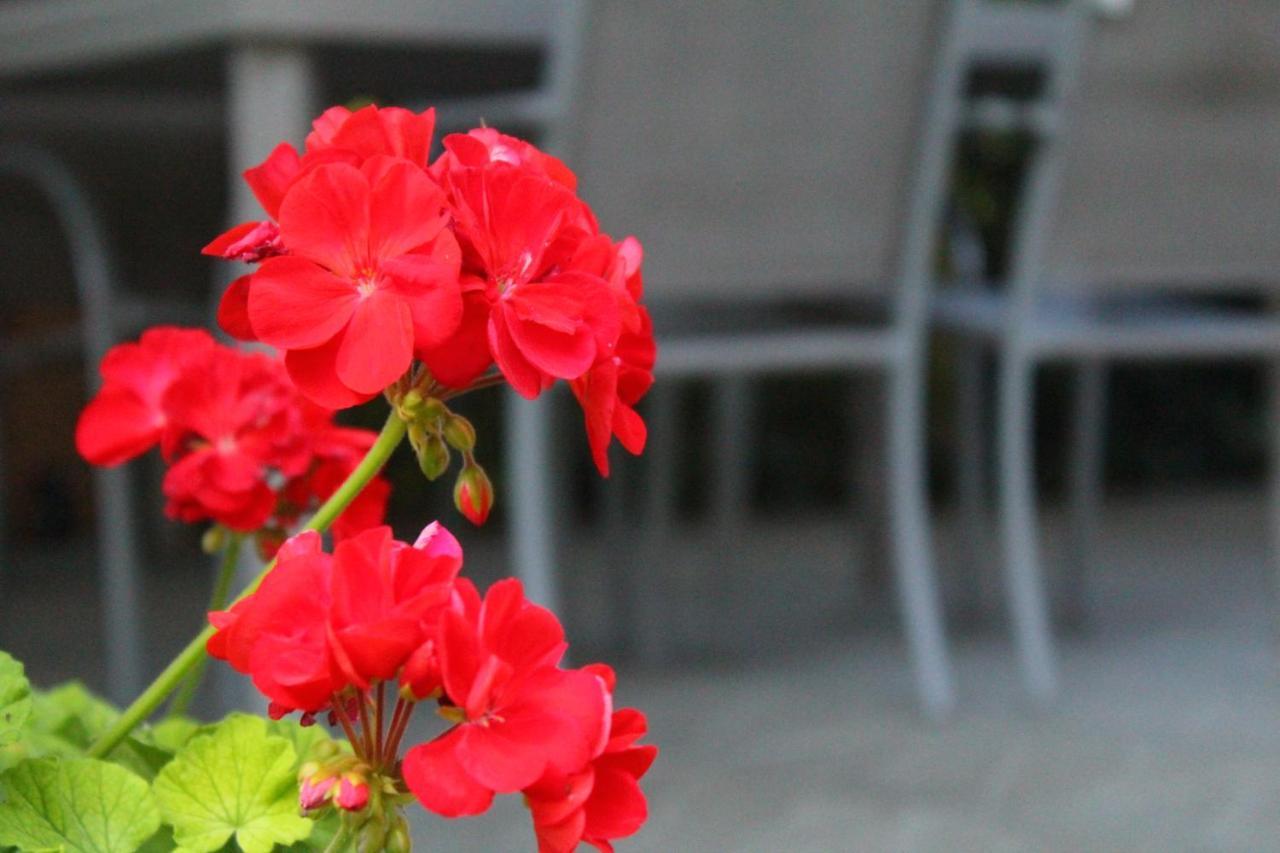 Il Casolare Bed & Breakfast Penna Eksteriør bilde