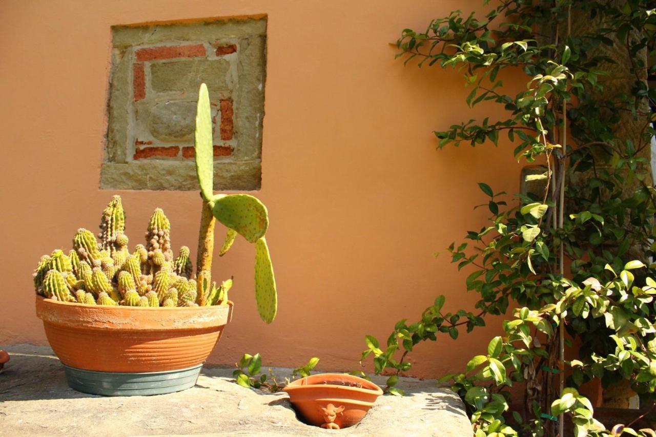 Il Casolare Bed & Breakfast Penna Eksteriør bilde